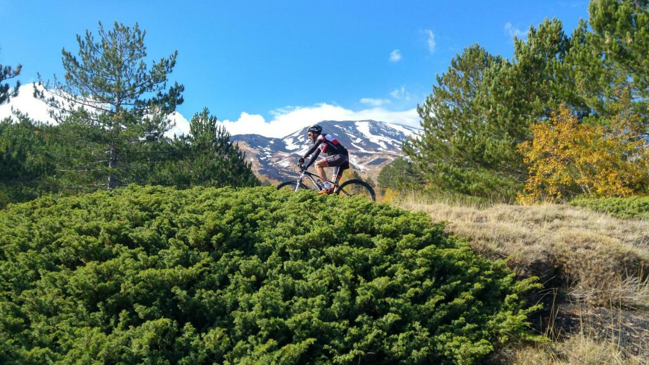 Etna Bike Holiday Zafferana Etnea Exterior photo